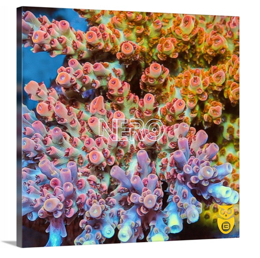 product.featured_image.alt