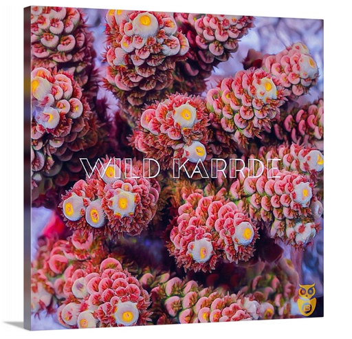 product.featured_image.alt