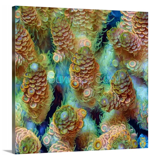 product.featured_image.alt